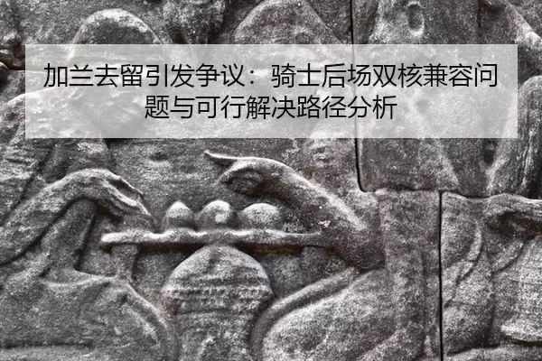 jia-lan-qu-liu-yin-fa-zheng-yi-qi-shi-hou-chang-shuang-he-jian-rong-wen-ti-yu-ke-xing-jie-jue-lu-jing-fen-xi-2-901.jpg